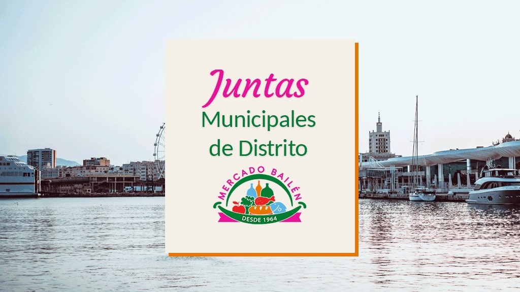 Junta-Distrito-Municipal