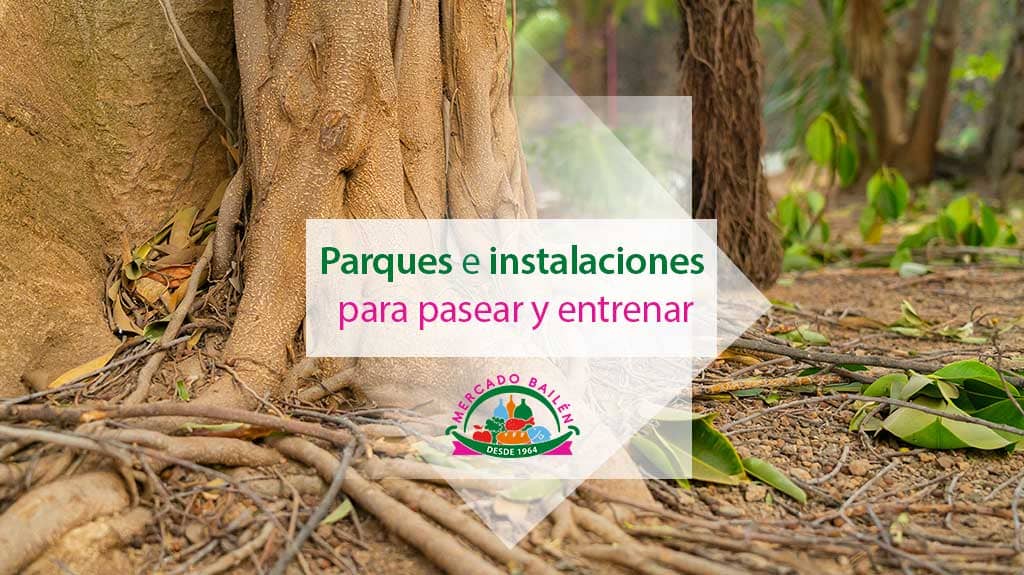 parques-instalaciones-pasear-entrenar